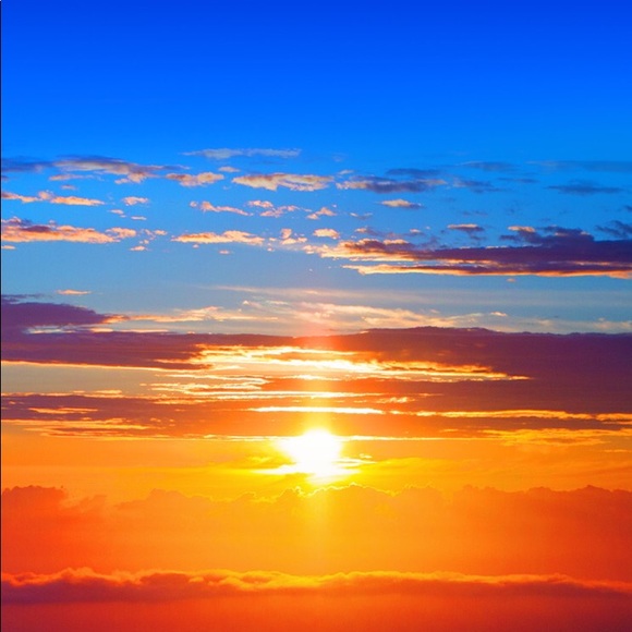 Meet your Posher, Julia - Picture 1 of 1